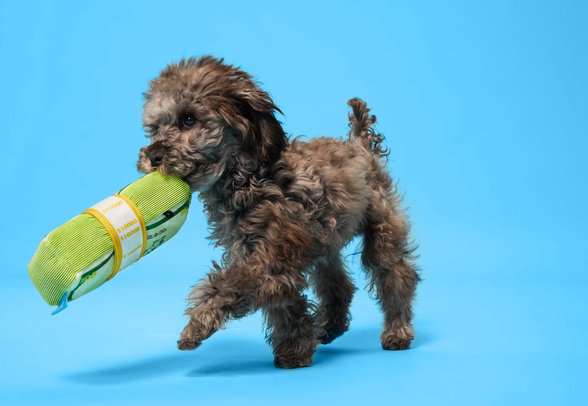 BARK Doggo Doggo Bills, Y’all