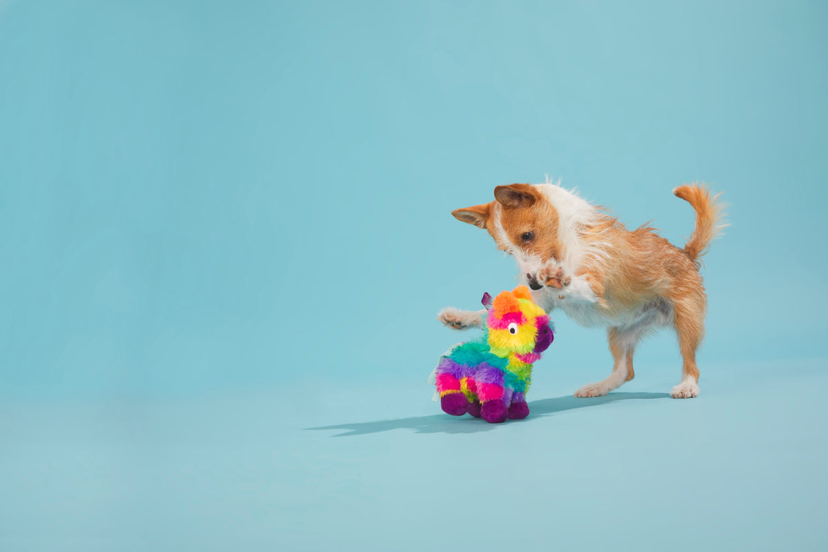 BARK Full O' Fluff Pinata Large