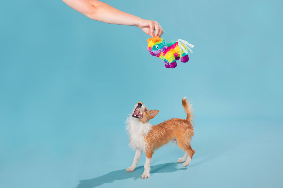 BARK Full O' Fluff Pinata Large