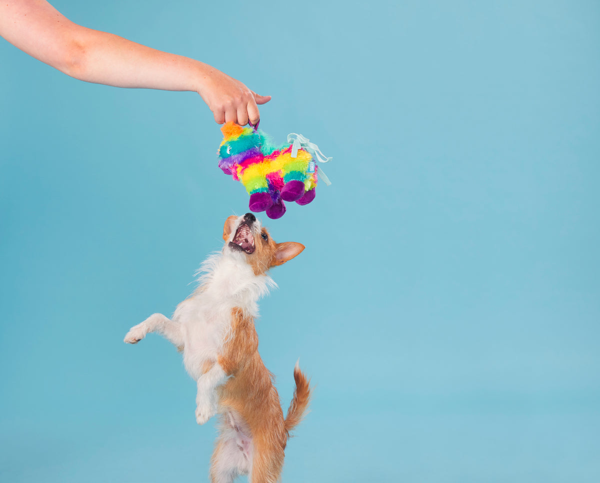 BARK Full O' Fluff Pinata Large