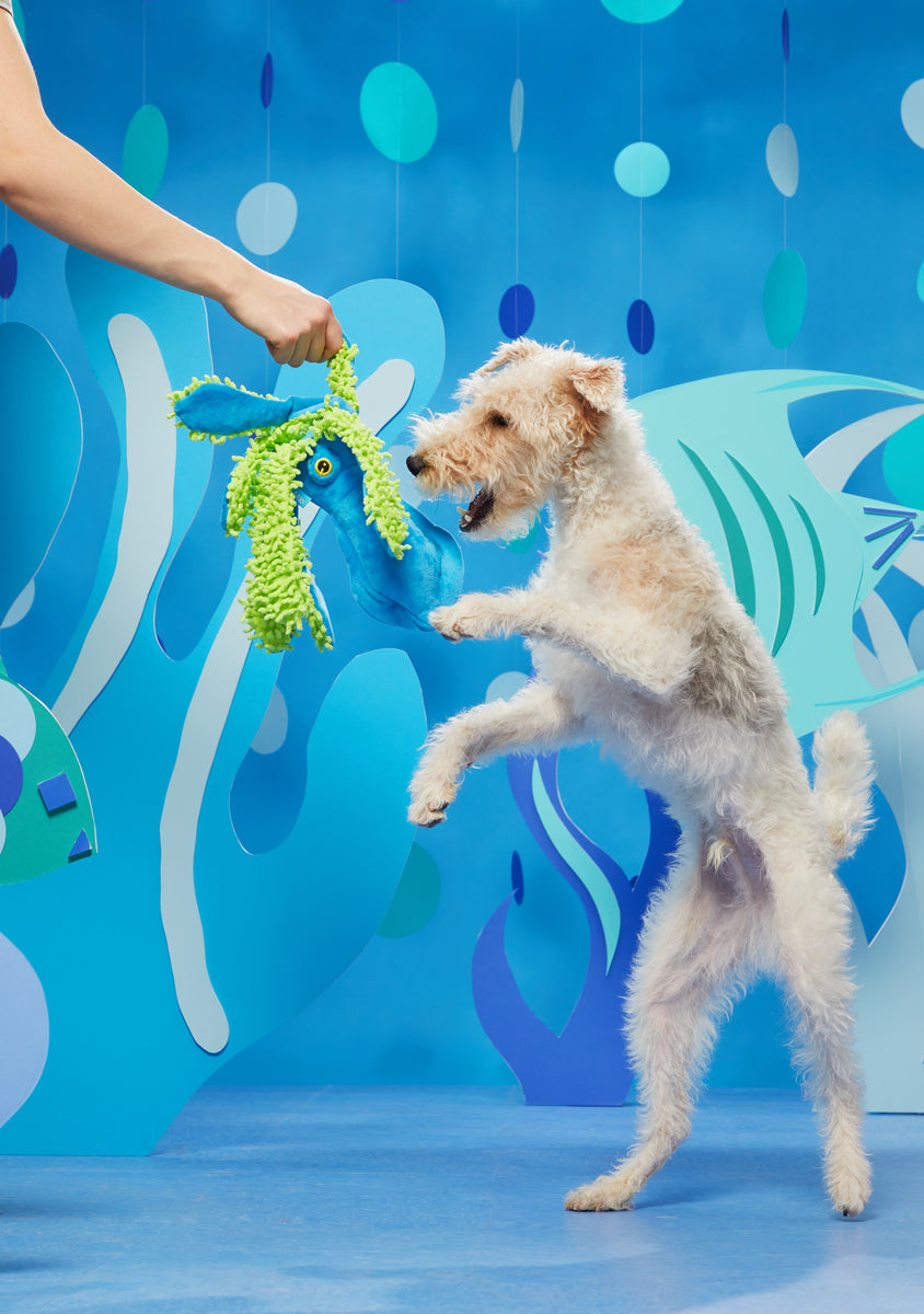 BARK Shifty Sid the Squid