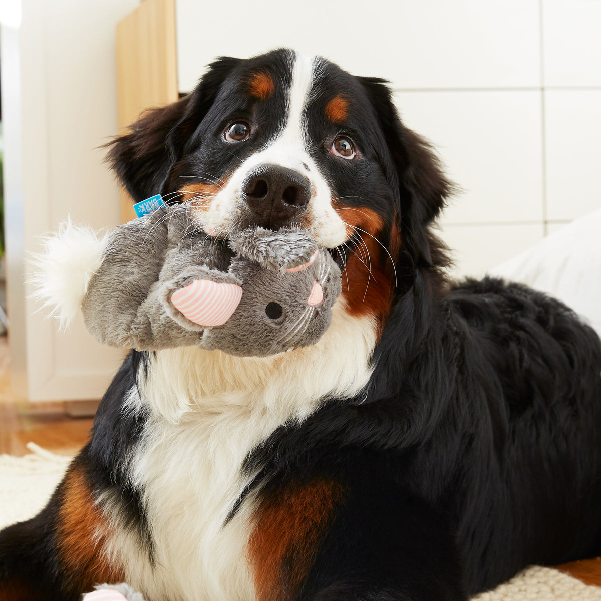 BARK Itty & Bitty the Bunny Slippers