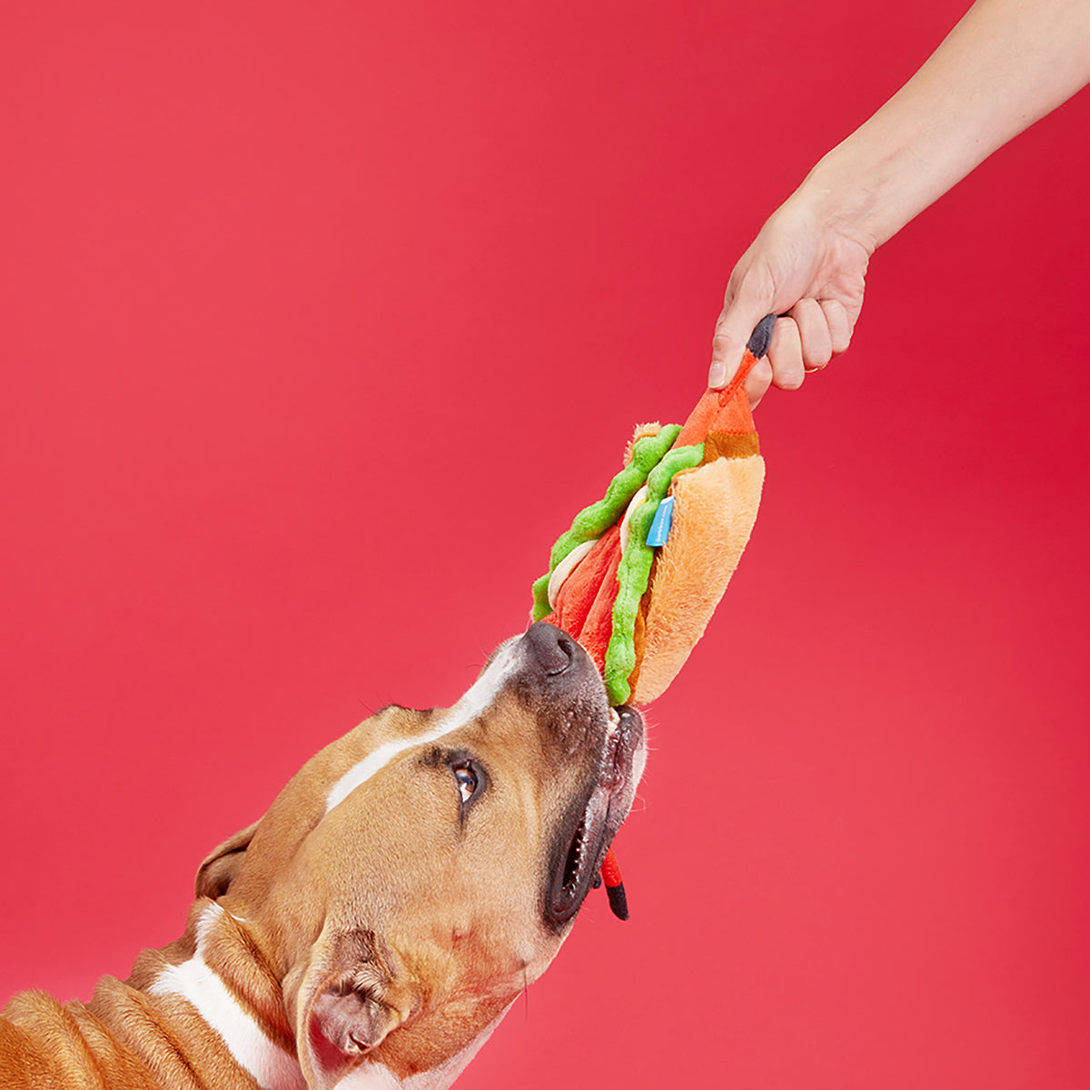 BARK Max's Maine Lobster Roll