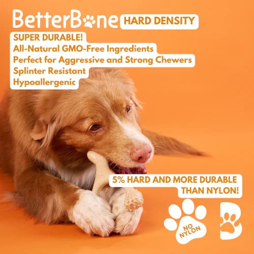 BetterBone Hard Beef Dog Chew Toy Large