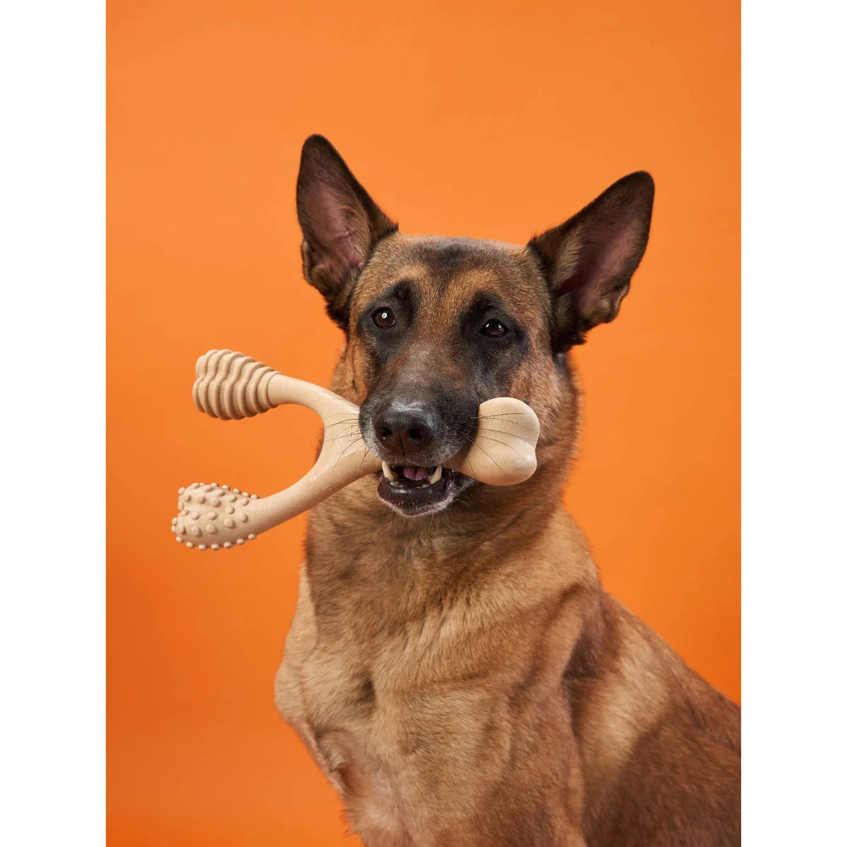 BetterBone Hard Beef Dog Chew Toy Large