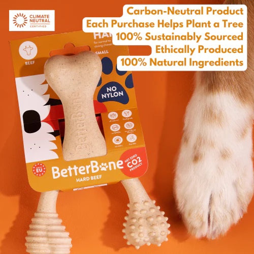 BetterBone Hard Beef Dog Chew Toy Small