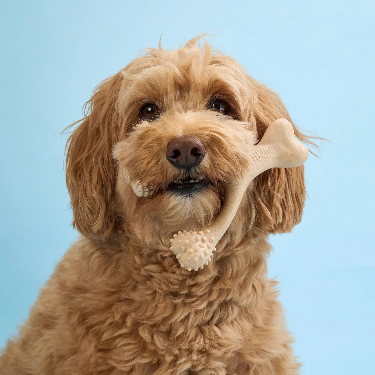 BetterBone Soft Beef Dog Chew Toy Large