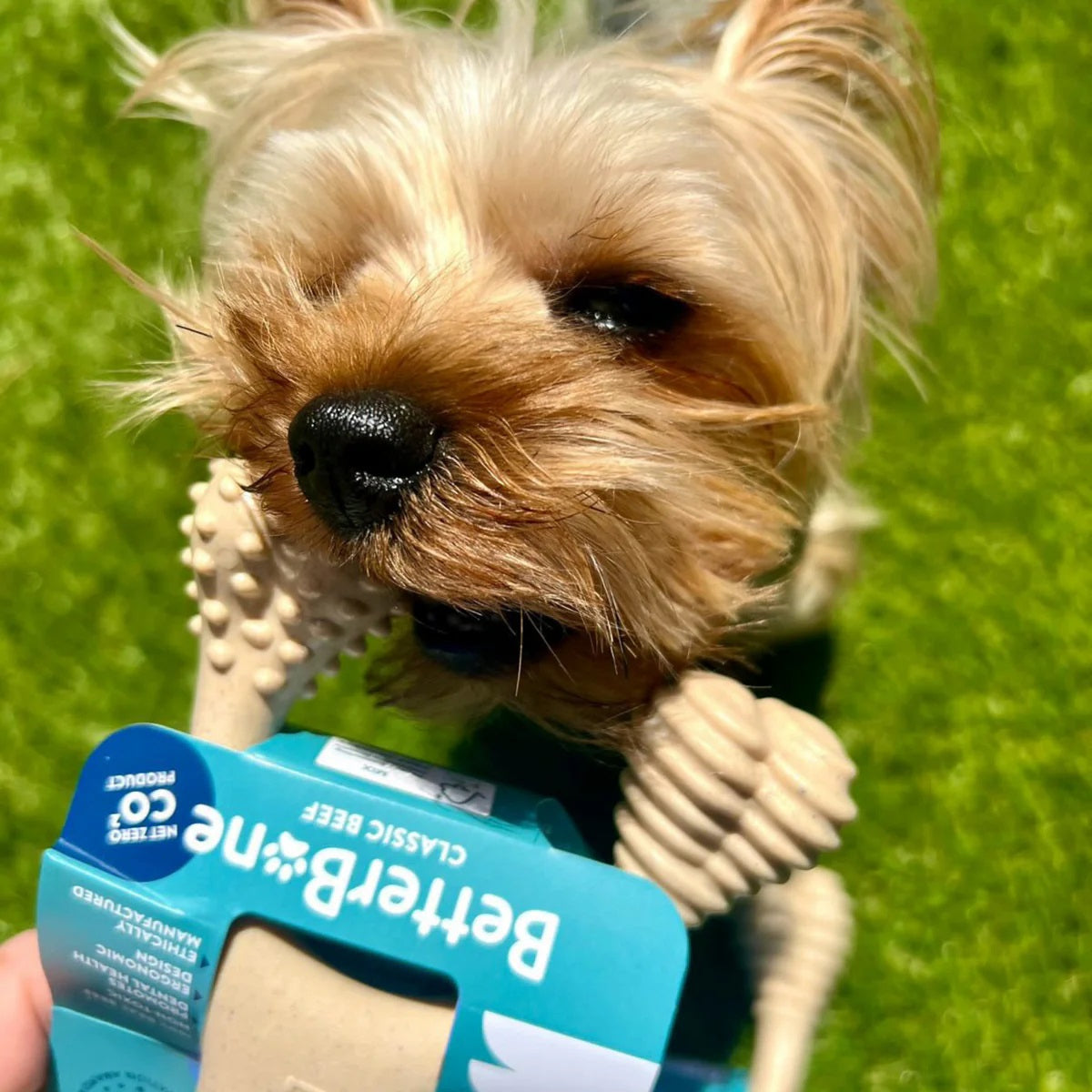 BetterBone Soft Beef Dog Chew Toy Mini