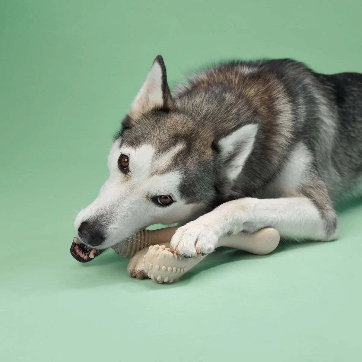 BetterBone Medium Beef Dog Chew Toy Large