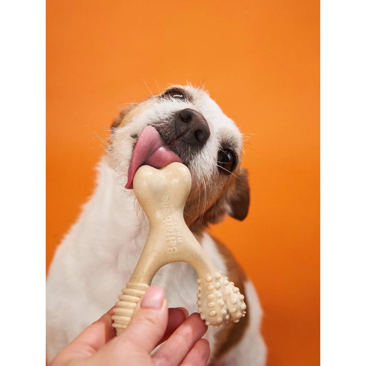 BetterBone Hard Beef Dog Chew Toy Mini