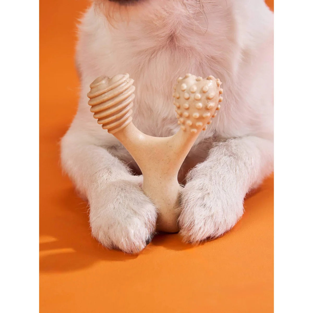BetterBone Hard Beef Dog Chew Toy Mini