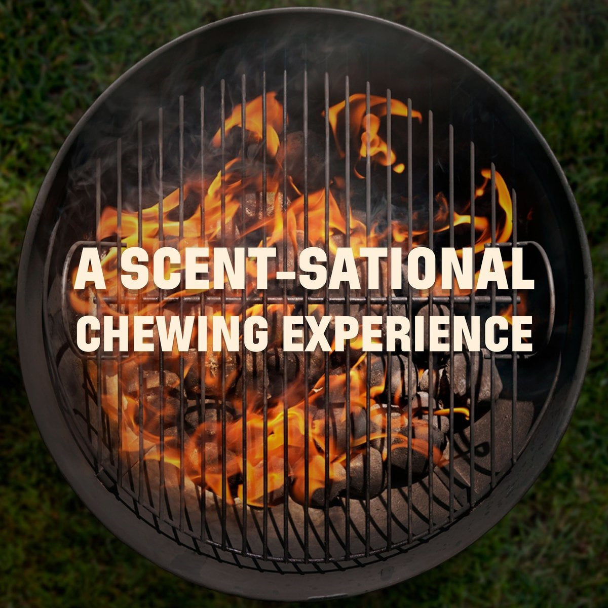 Barkworthies Smoked Bully 6" Thick 3pk