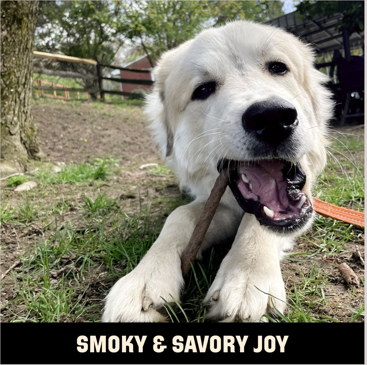 Barkworthies Smoked Beef Stick 15pk