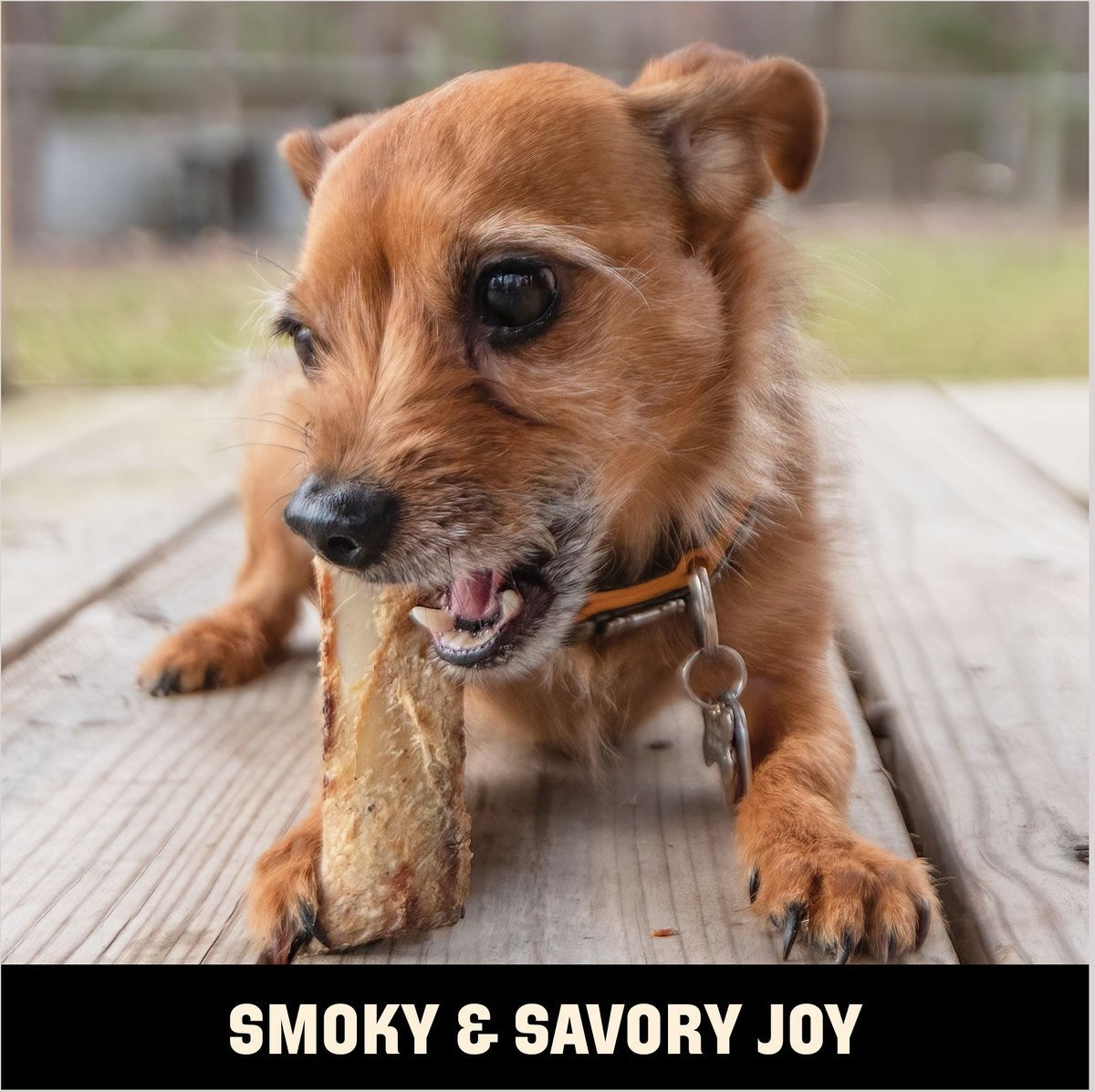 Barkworthies Smoked Rib 10pk