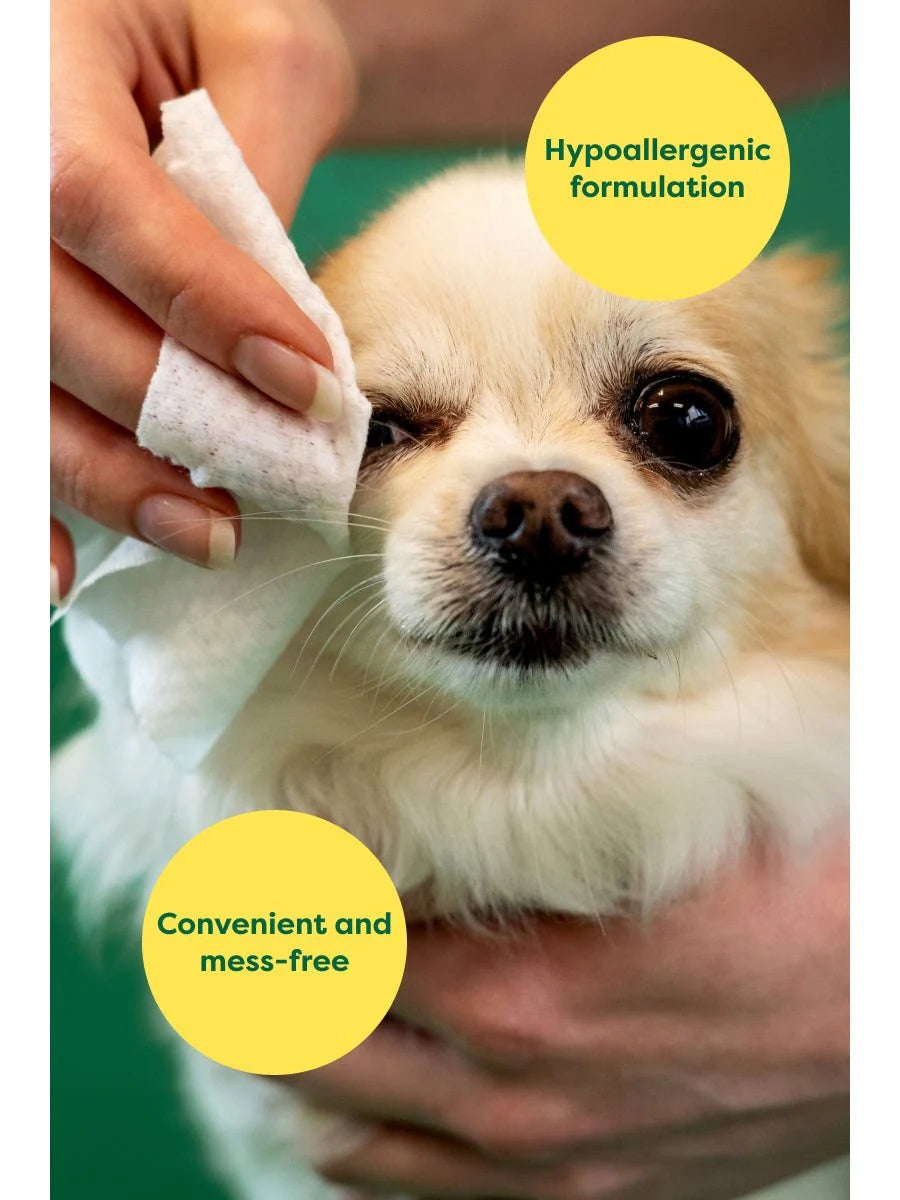 Earth Rated Dog Eye Cleansing Wipes 60ct Case of 6
