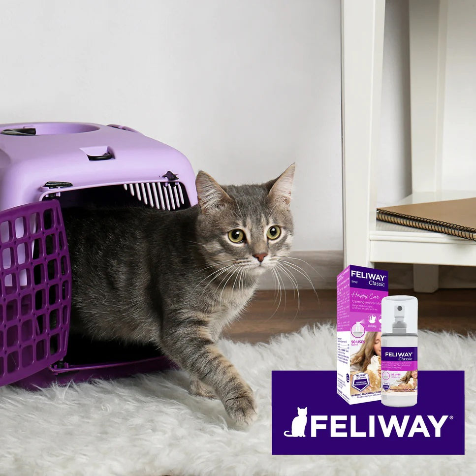 Feliway Classic Cat Calming Pheromone Spray 60 mL