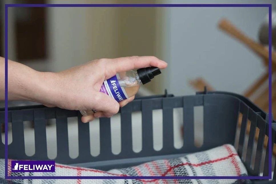 Feliway Classic Cat Calming Pheromone Spray 60 mL