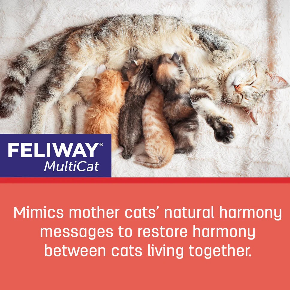 Feliway MultiCat Calming Pheromone 30 Day Refill