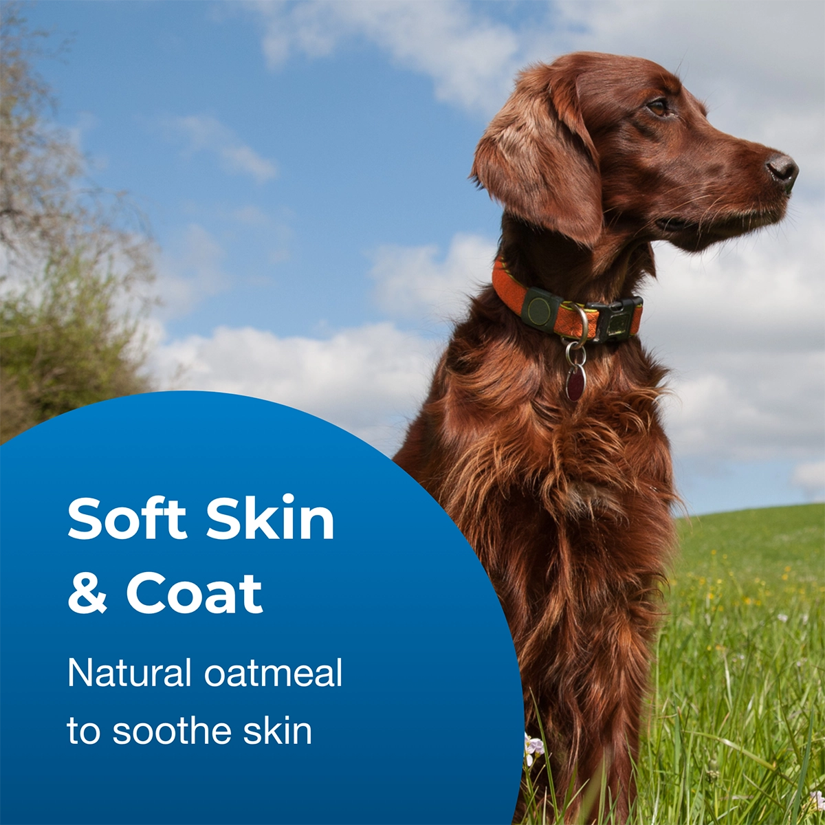 Fresh 'n Clean Oatmeal ’n Baking Soda Shampoo, Tropical Scent, Concentrated 10:1