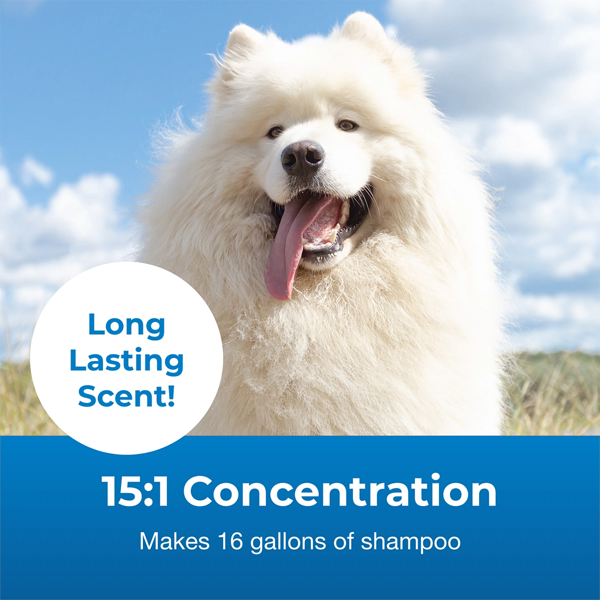 Fresh 'n Clean Snowy-Coat Whitening Shampoo 15:1 Concentrate, Vanilla Scent