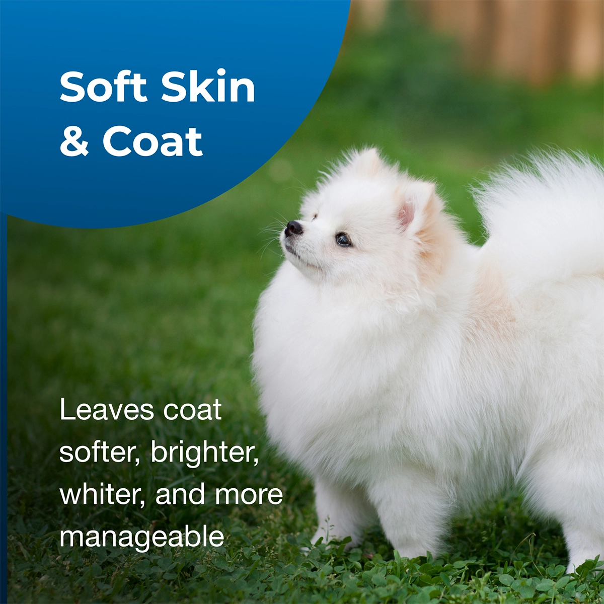 Fresh 'n Clean Snowy-Coat Whitening Shampoo 15:1 Concentrate, Vanilla Scent