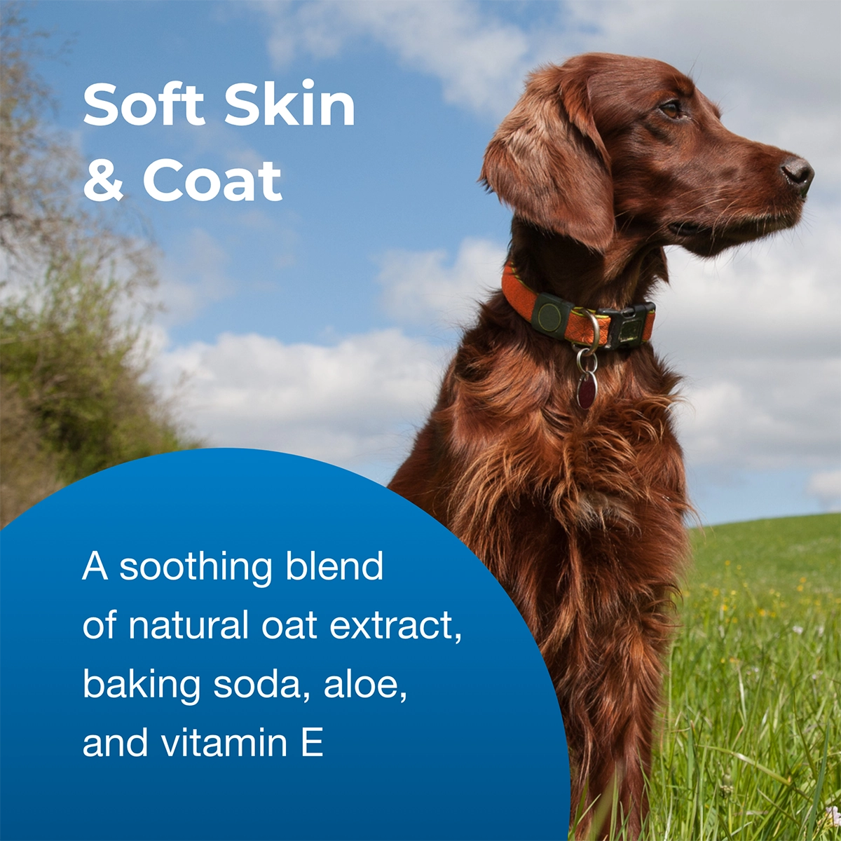 Fresh 'n Clean Oatmeal ’n Baking Soda Conditioner 15:1 Concentrate, Tropical Breeze Scent