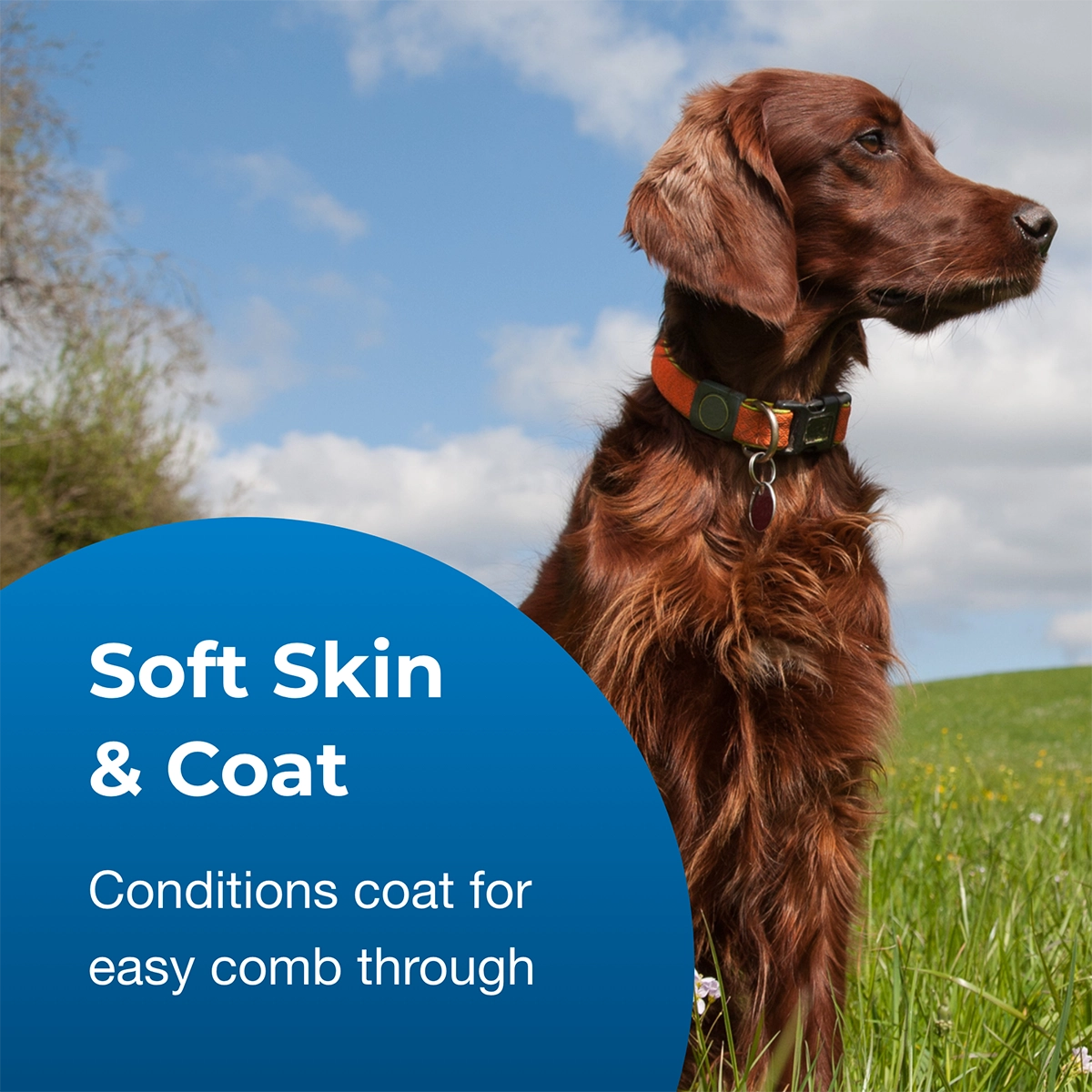 Fresh 'n Clean Scented Creme Rinse, Classic Fresh Scent, 18 oz.