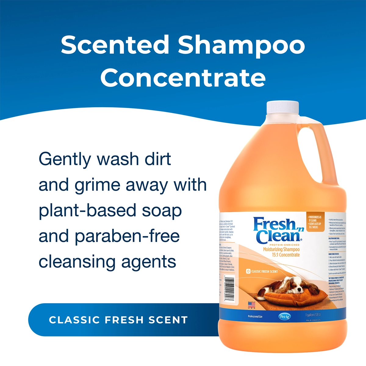 Fresh 'n Clean Moisturizing Shampoo 15:1 Concentrate, Classic Fresh Scent