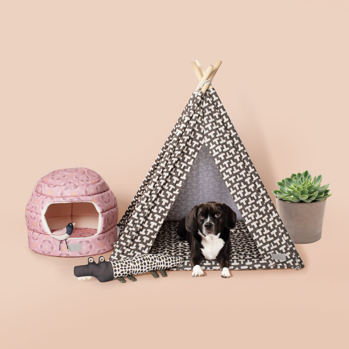 PetShop by Fringe Studio Croc My World Canvas Dog Toy