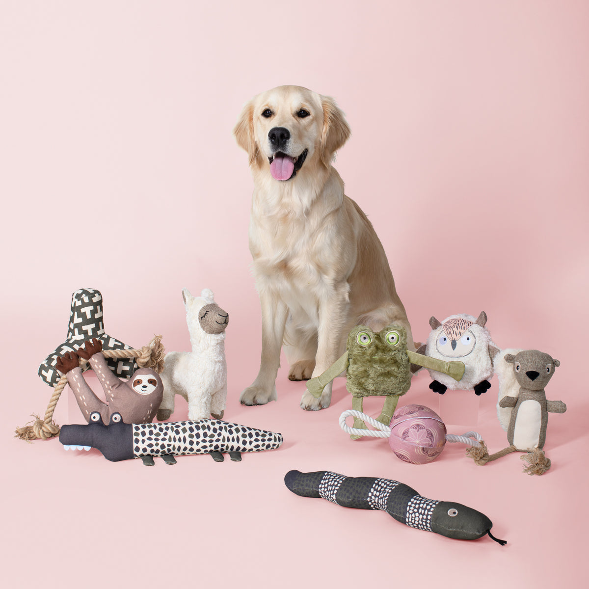 PetShop by Fringe Studio Croc My World Canvas Dog Toy