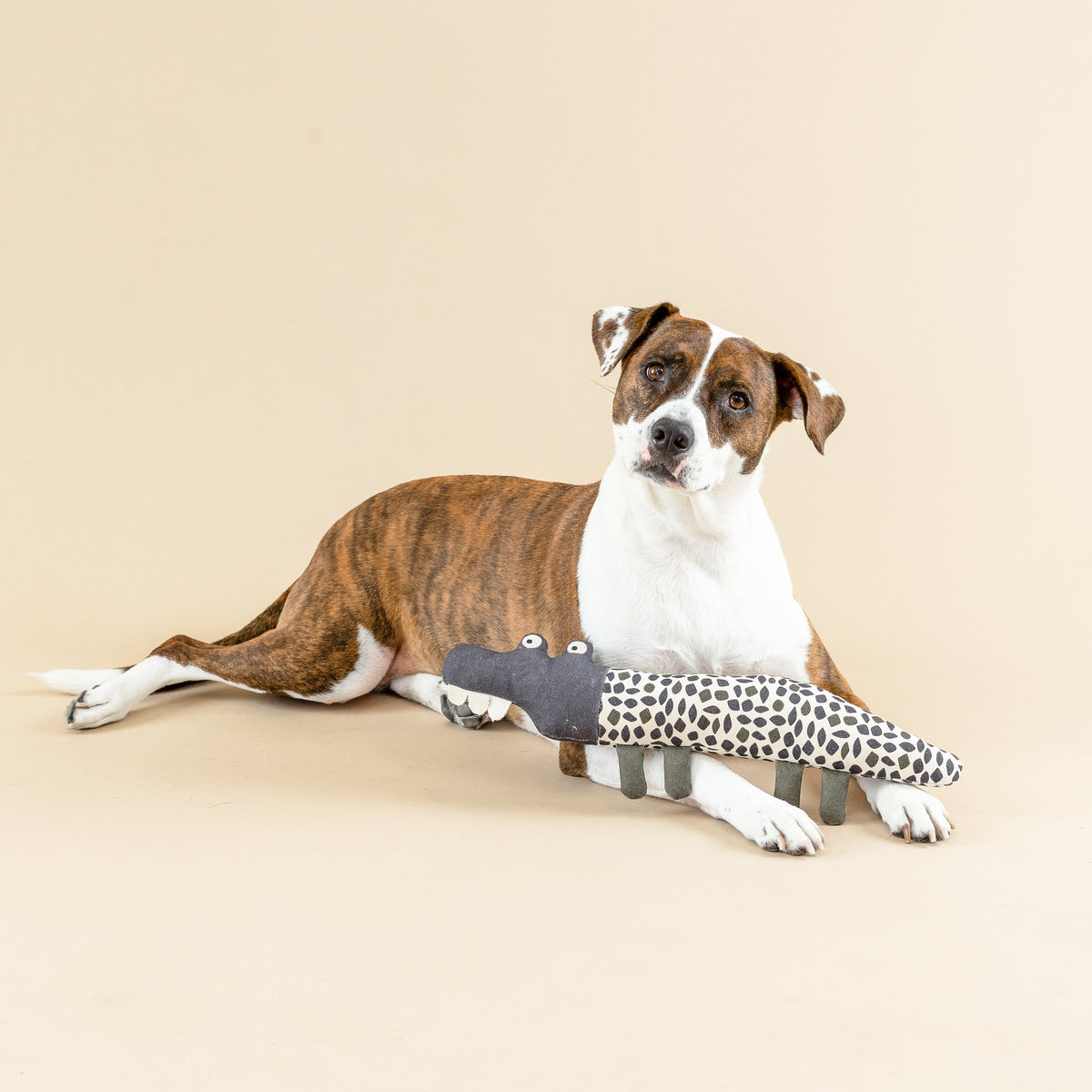 PetShop by Fringe Studio Croc My World Canvas Dog Toy