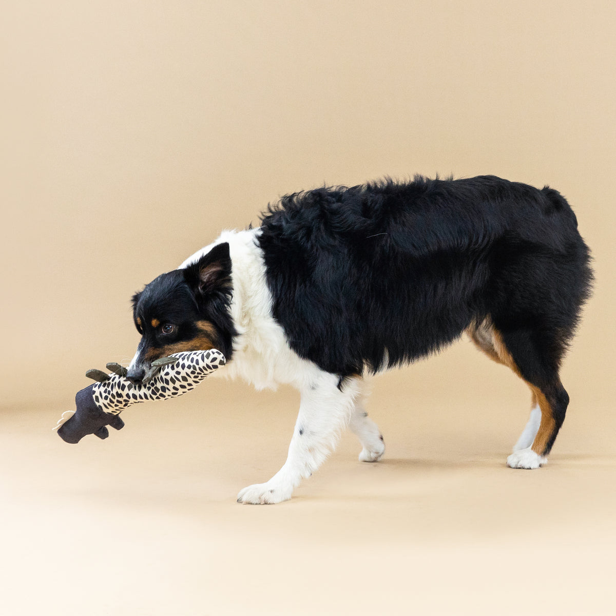 PetShop by Fringe Studio Croc My World Canvas Dog Toy
