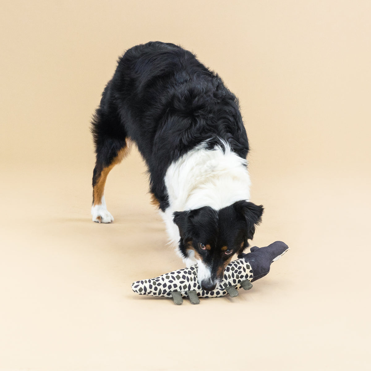 PetShop by Fringe Studio Croc My World Canvas Dog Toy
