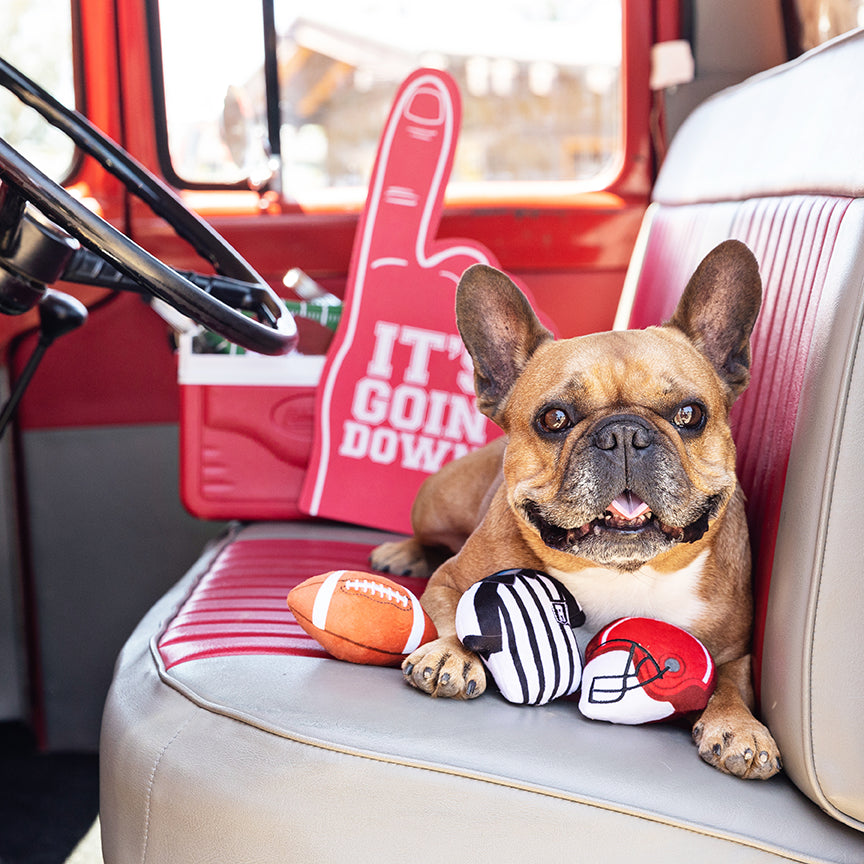 PetShop by Fringe Studio Whole 9 Yards Small Dog Toy Set 3pc