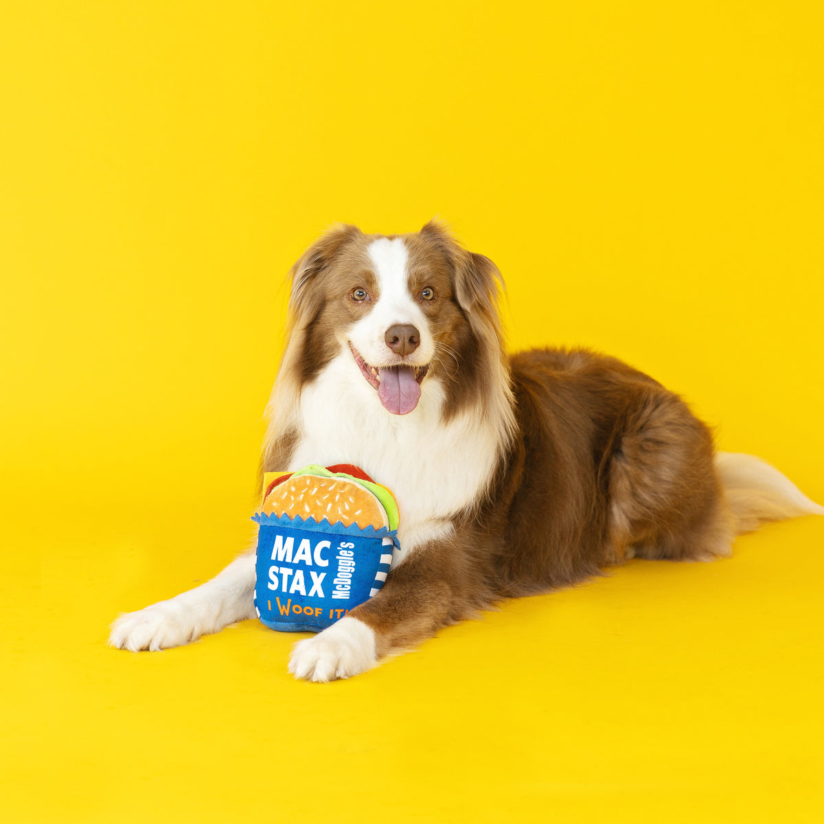 Wagsdale McDoggle's Max Stax Plush Dog Toy