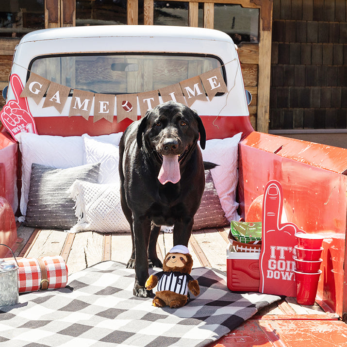 PetShop by Fringe Studio Rufferee Plush Dog Toy