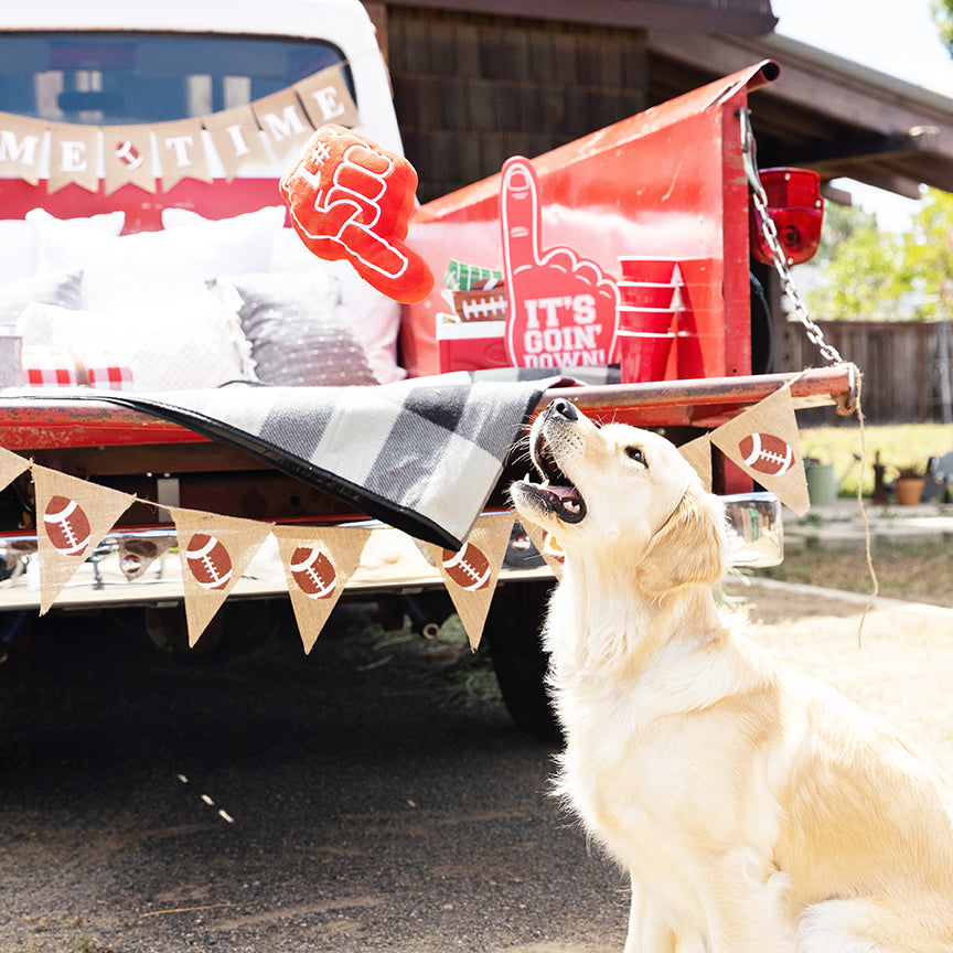 PetShop by Fringe Studio #1 Fan Plush Dog Toy