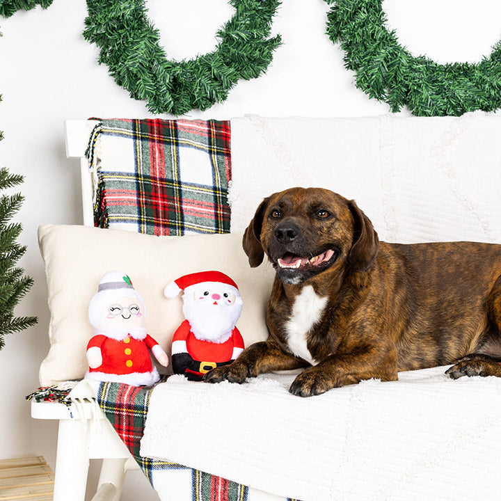 PetShop by Fringe Studio Mr. & Mrs. Santa Paws Plush Dog Toy Set 2pc