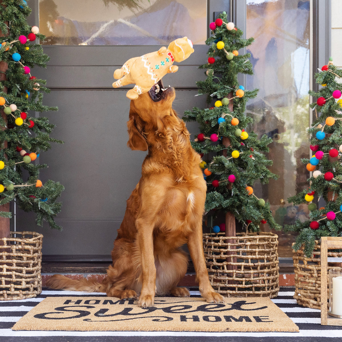 PetShop by Fringe Studio Cookie-Saurus Plush Dog Toy