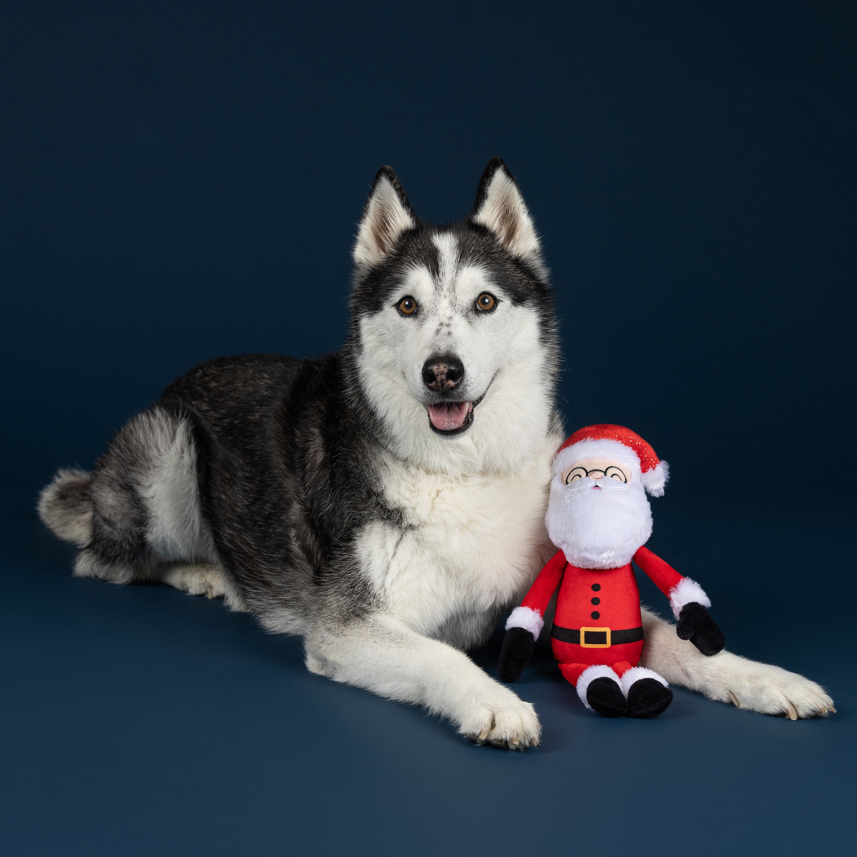 PetShop by Fringe Studio To The Chimneys Plush Dog Toy