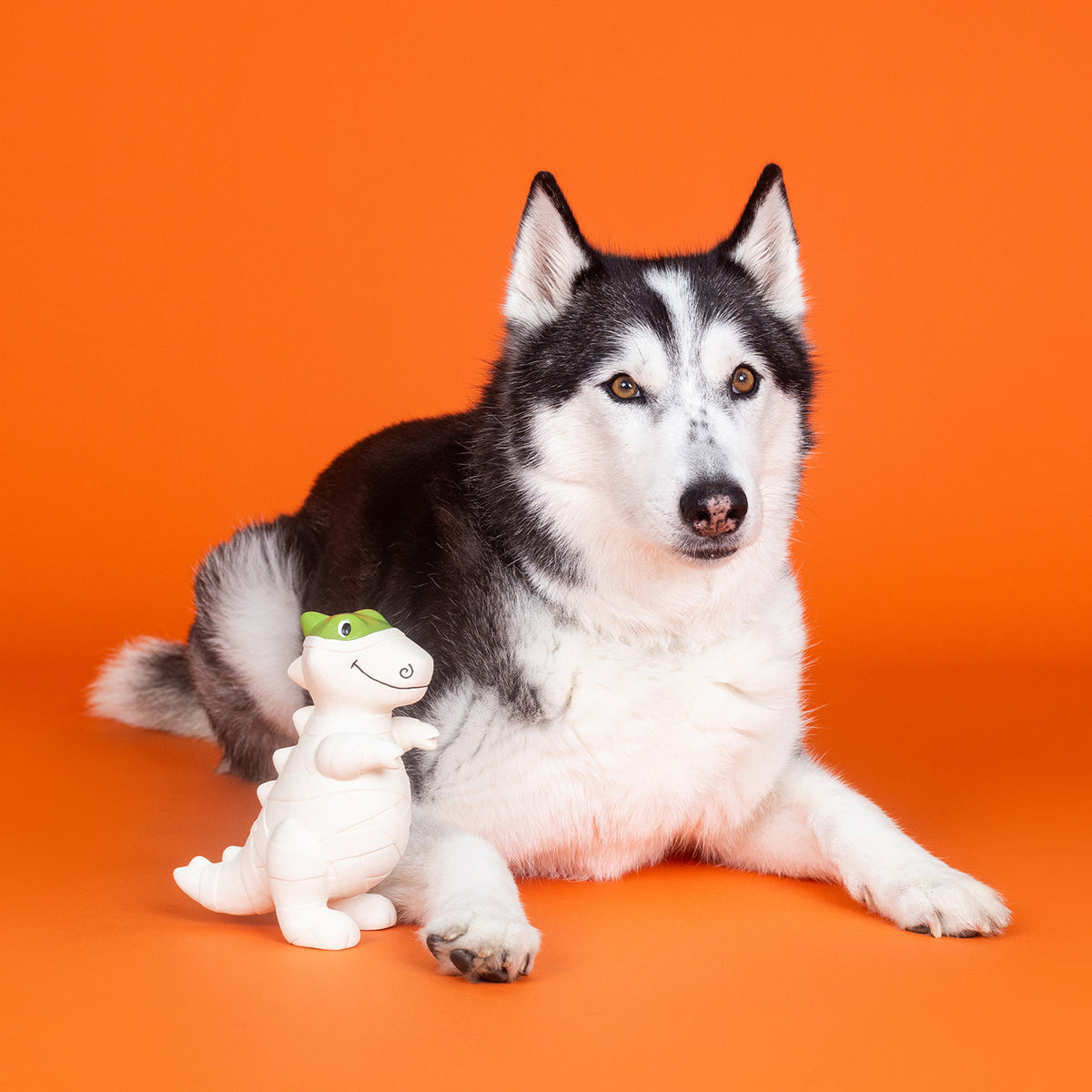 PetShop by Fringe Studio Here To Gauze Trouble Latex Dog Toy