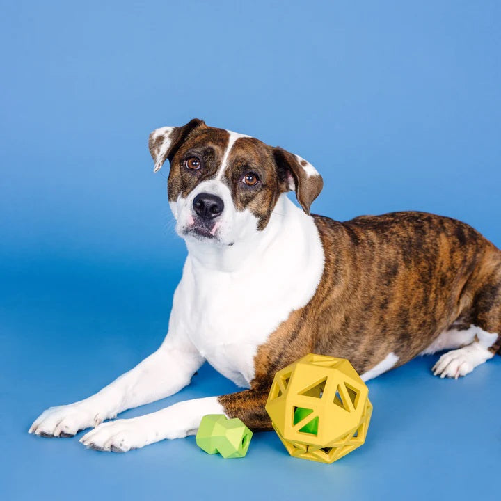 PetShop by Fringe Sweet on the Inside Yellow Rubber Dog Toy