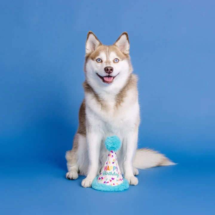 PetShop by Fringe Yappy Barkday Rubber/Plush Dog Toy