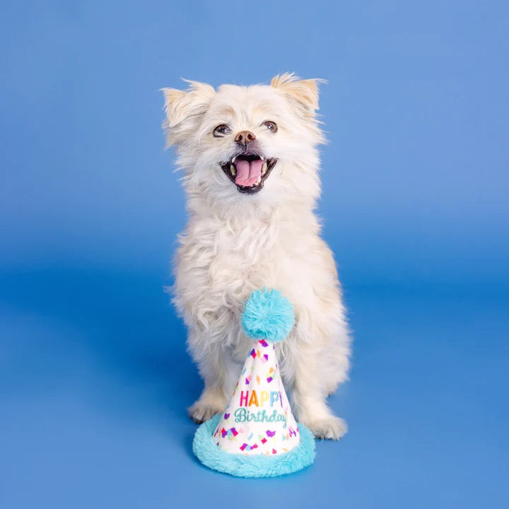 PetShop by Fringe Yappy Barkday Rubber/Plush Dog Toy