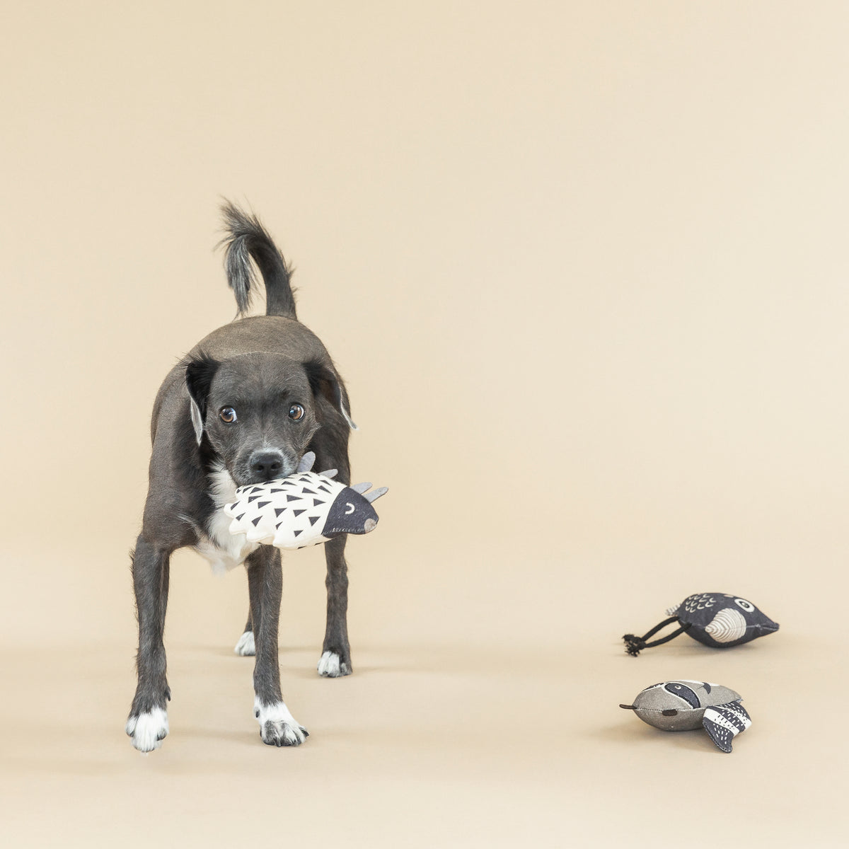 PetShop by Fringe Studio Wild Ones Canvas Mini Toy Set 3pc