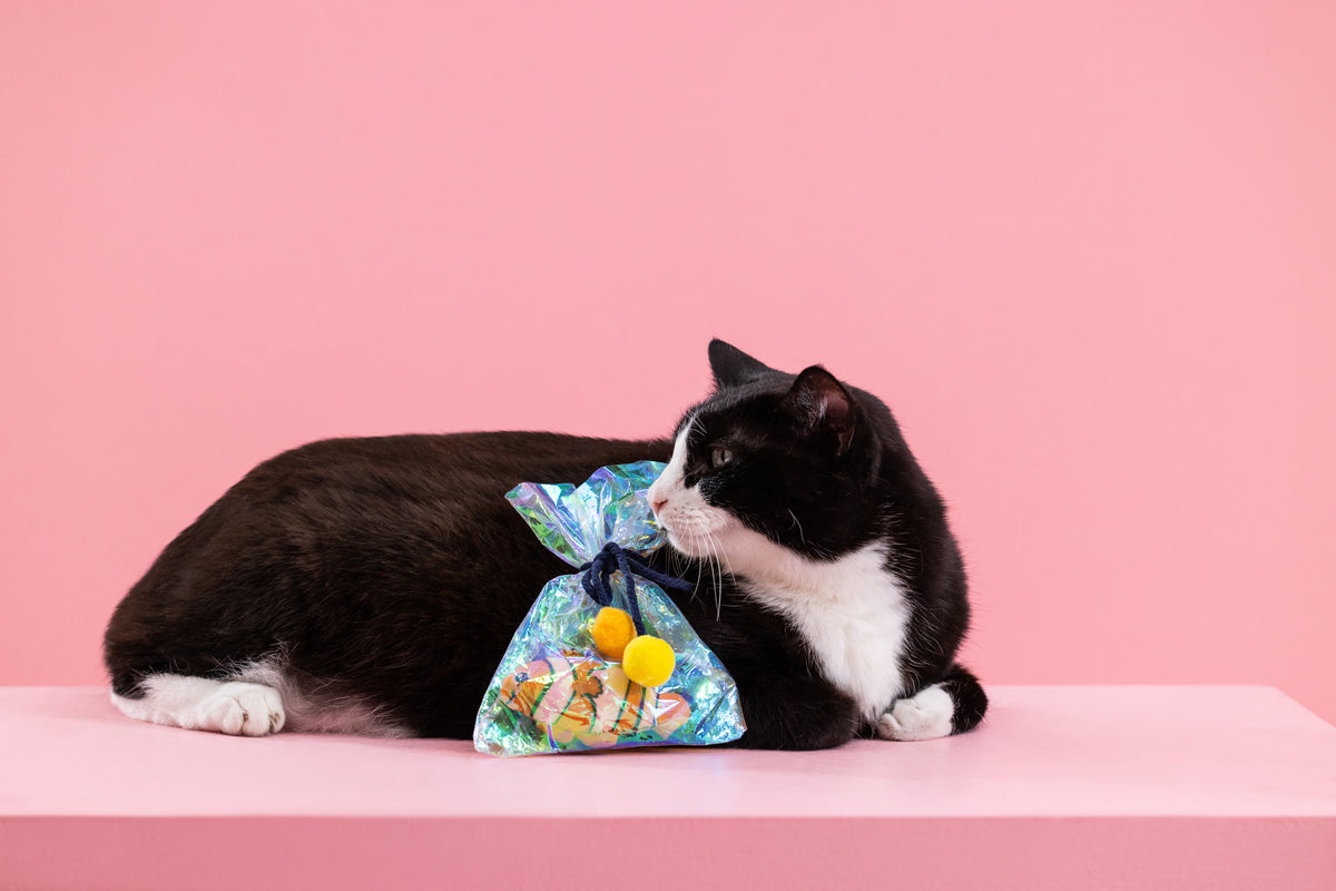 PetShop by Fringe Studio Clownin' Around Kicker Cat Toy