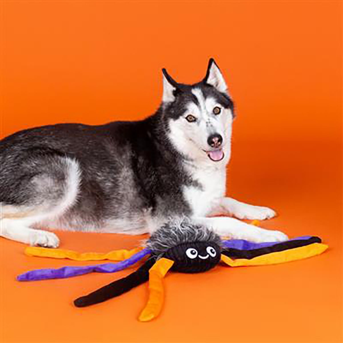 PetShop by Fringe Studio Trappin' Flies Plush Dog Toy Large