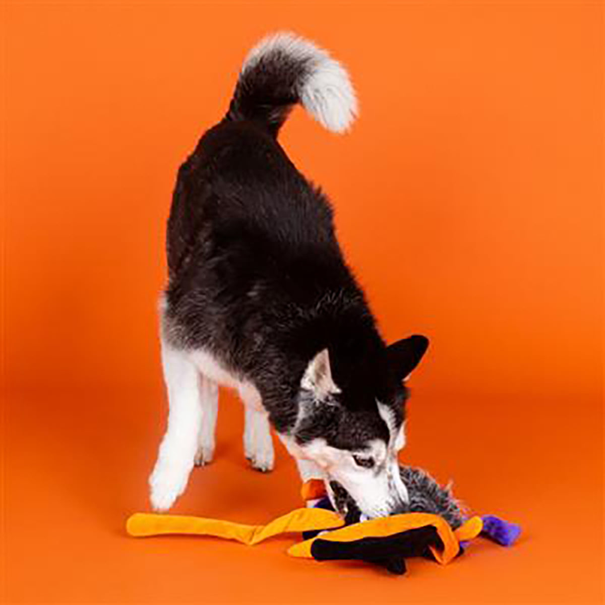 PetShop by Fringe Studio Trappin' Flies Plush Dog Toy Large