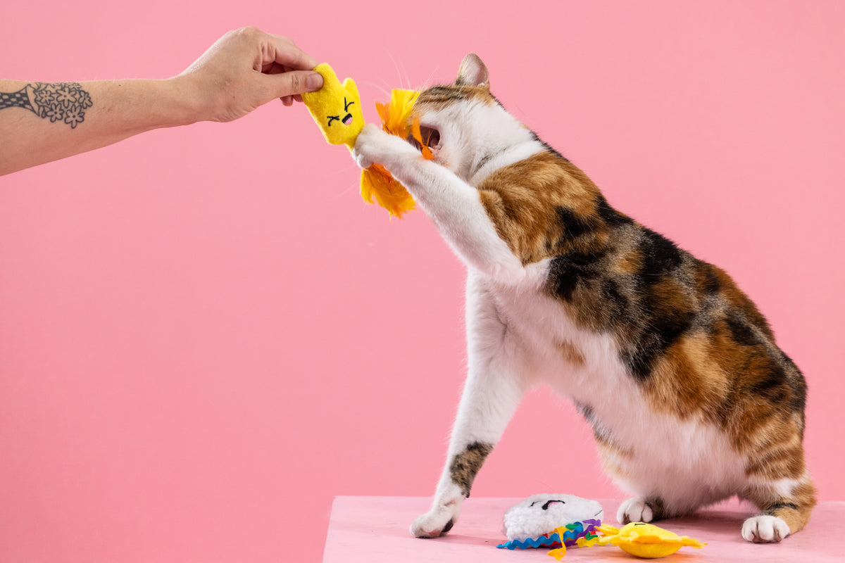 PetShop by Fringe Studio Purr-fect Weather Cat Toy Set 3pc