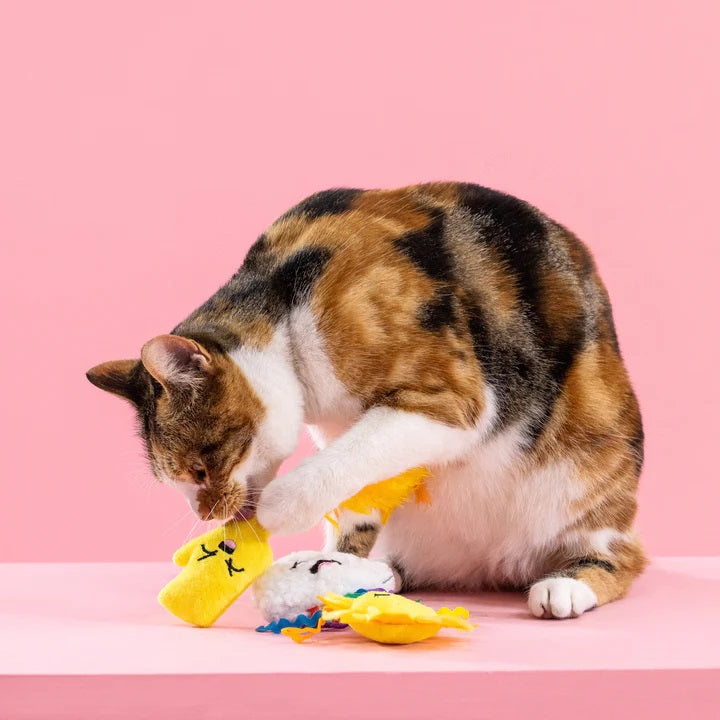 PetShop by Fringe Studio Purr-fect Weather Cat Toy Set 3pc